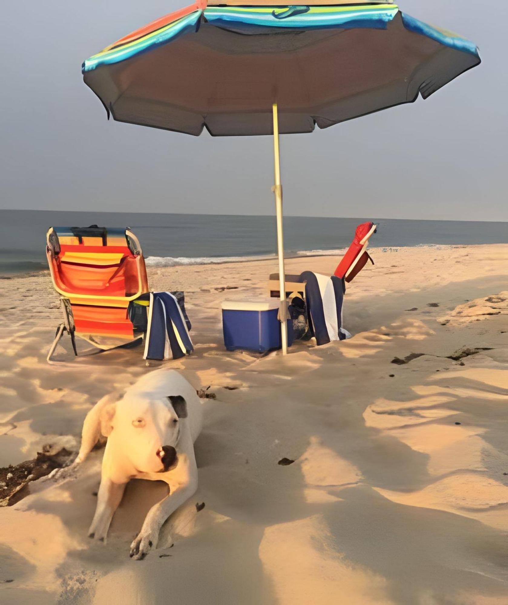 Appartamento 12 De Octubre Cabo San Lucas Esterno foto