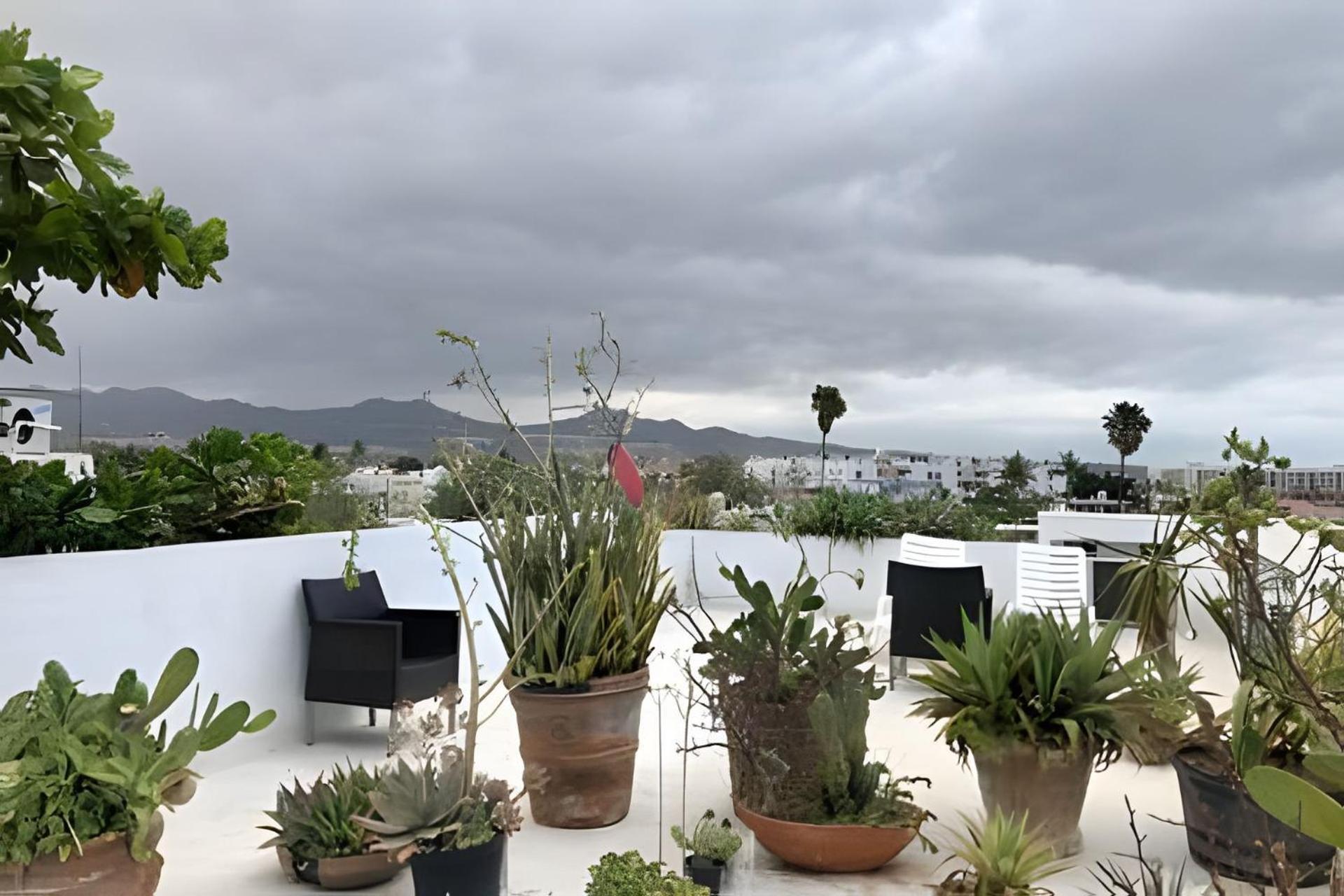 Appartamento 12 De Octubre Cabo San Lucas Esterno foto